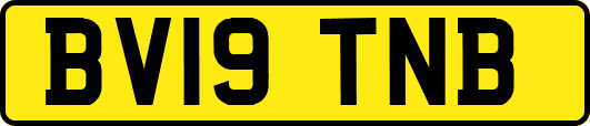 BV19TNB