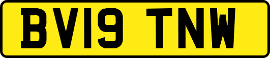 BV19TNW