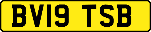 BV19TSB