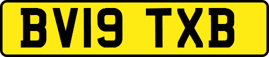 BV19TXB