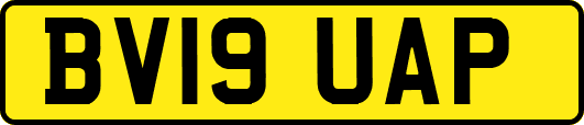 BV19UAP