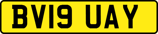 BV19UAY