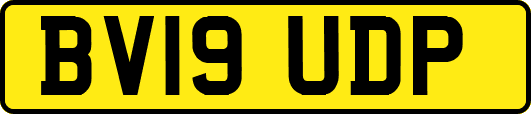 BV19UDP