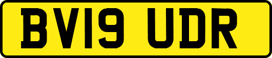 BV19UDR