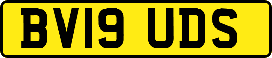 BV19UDS