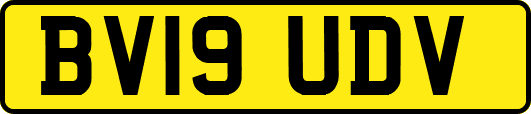 BV19UDV