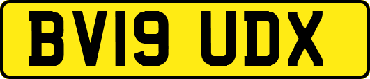 BV19UDX