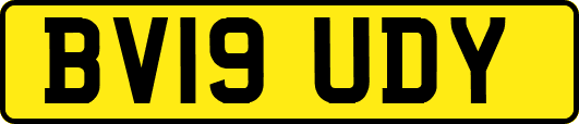 BV19UDY