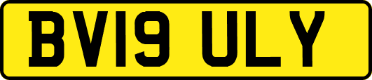 BV19ULY