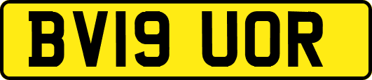 BV19UOR