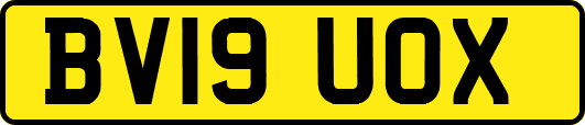 BV19UOX