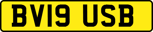 BV19USB