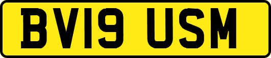 BV19USM