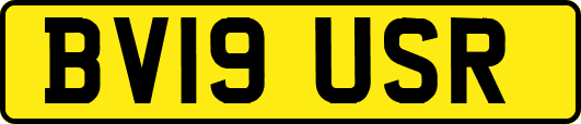 BV19USR