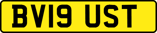 BV19UST