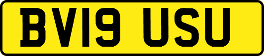 BV19USU