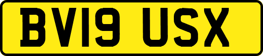 BV19USX