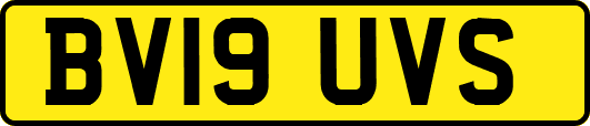 BV19UVS