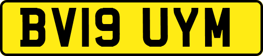 BV19UYM