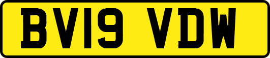 BV19VDW