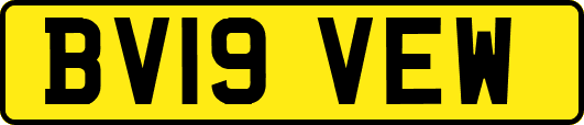 BV19VEW