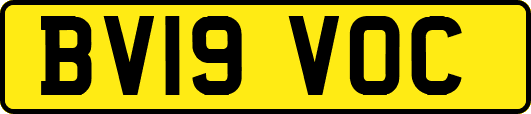 BV19VOC