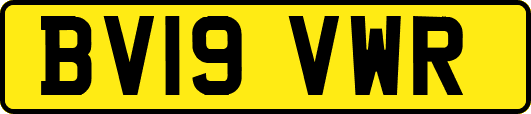 BV19VWR