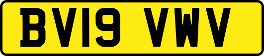 BV19VWV