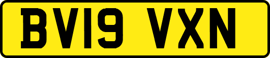 BV19VXN