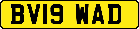 BV19WAD