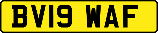 BV19WAF