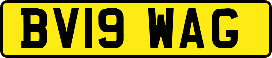 BV19WAG