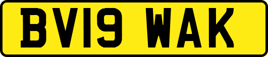 BV19WAK