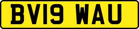 BV19WAU