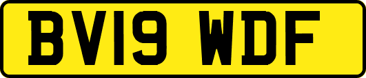 BV19WDF