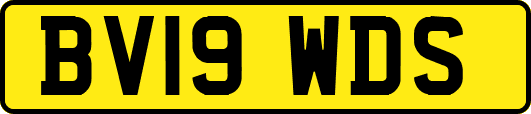 BV19WDS