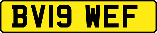 BV19WEF