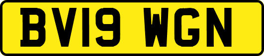 BV19WGN