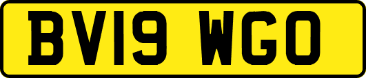 BV19WGO