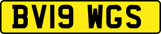 BV19WGS