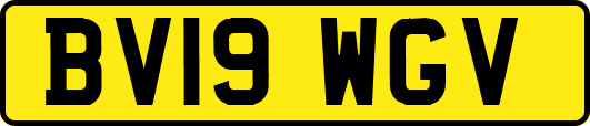 BV19WGV