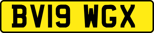 BV19WGX