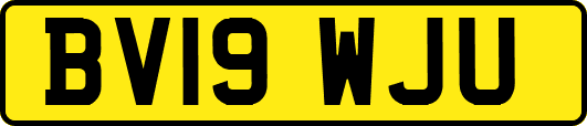 BV19WJU