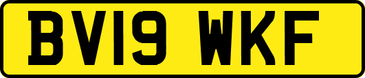 BV19WKF