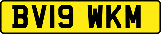 BV19WKM