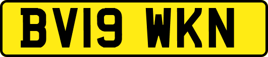 BV19WKN