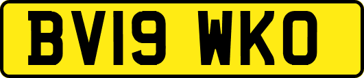 BV19WKO