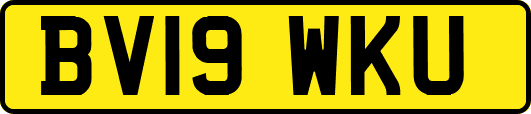 BV19WKU
