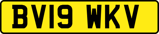 BV19WKV