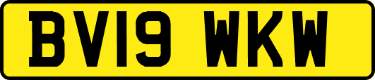 BV19WKW
